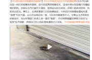 pp电子-台北出现汉坦病毒致死病例！网友扒出竟早有预言，专家否认人传人